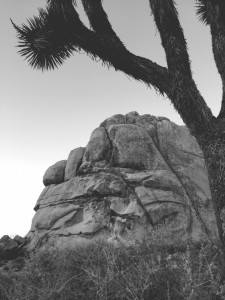 braden-tobler-adventure-photography041