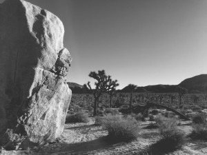 braden-tobler-adventure-photography043